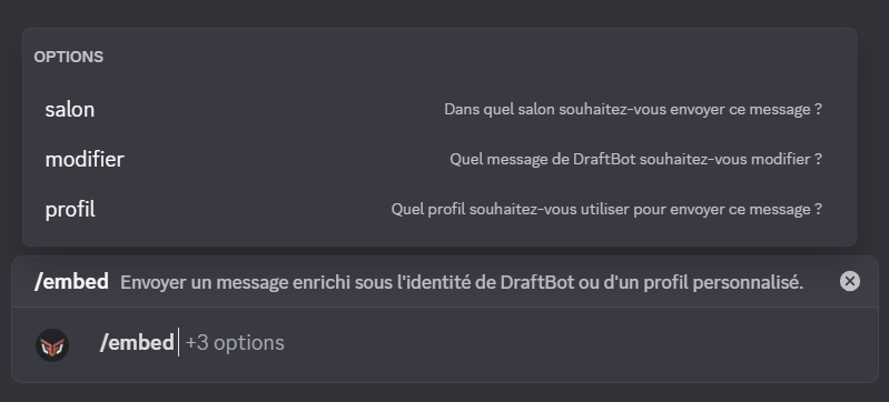 La commande /embed avec les paramètres d'envoi