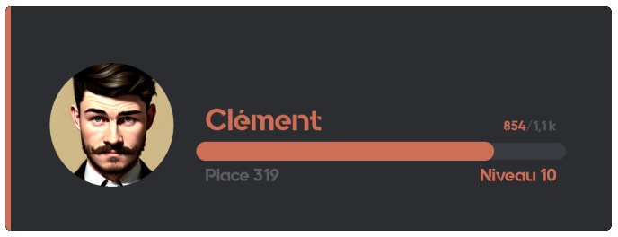 Carte renvoyée par la commande /niveau