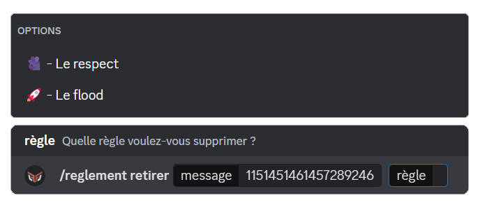 Aperçu de la commande /reglement retirer