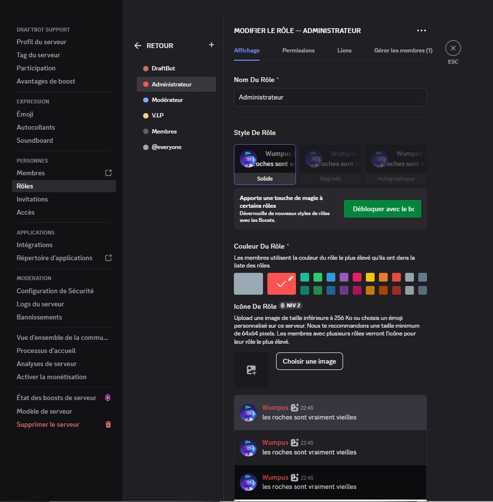 DraftBot is positioned above the Administrator role in the role hierarchy.